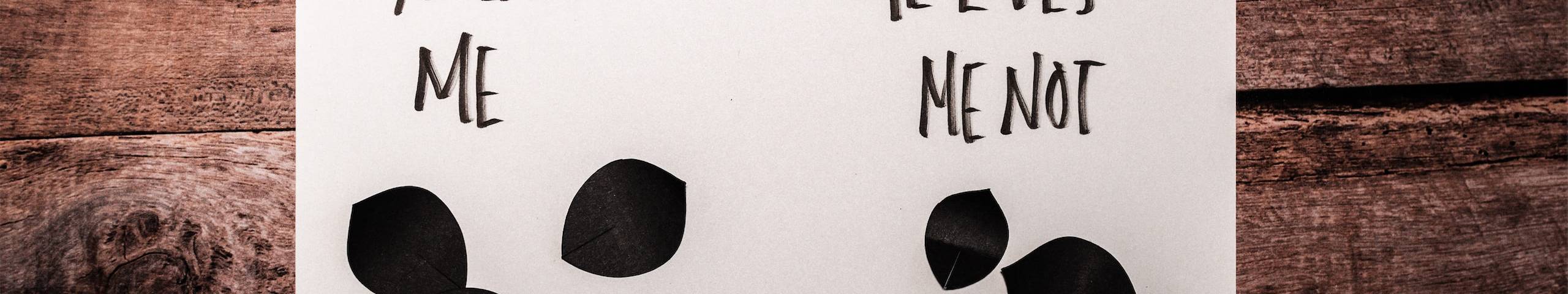 Er Liebt mich, er liebt mich nicht Er Liebt mich, er liebt mich nicht